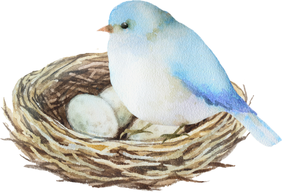 A watercolor bird with a nest.