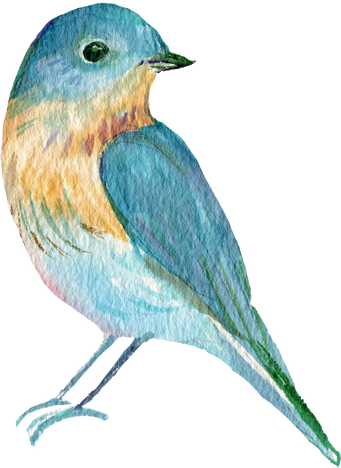 watercolor bird